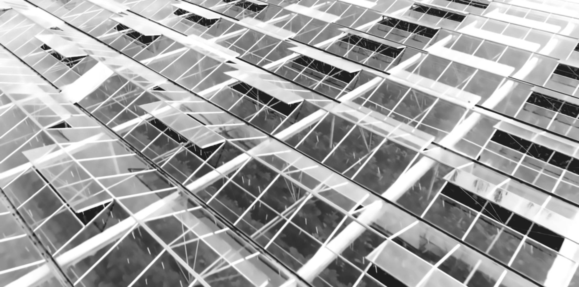 Interactive webinar session showing real-time participant engagement with ecological concepts